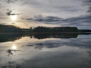 Príroda v okolí privátu
