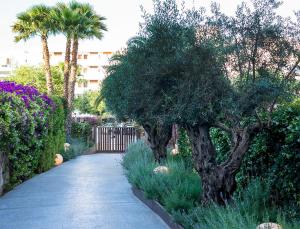 una pasarela con árboles y flores en un jardín en Apartaments B-Llobet Sun & Confort en Ibiza