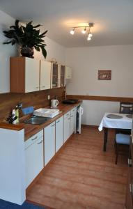 a kitchen with white cabinets and a table with a potted plant at Penzion Zelinka in Kořenov