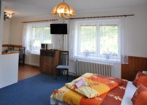 a bedroom with a bed and a tv and windows at Penzion Zelinka in Kořenov