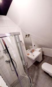 a bathroom with a shower and a sink and a toilet at Polanki 17 Apartment in Łeba