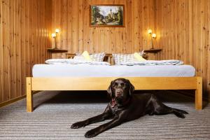 Postel nebo postele na pokoji v ubytování Pension Haus Fürstenberg