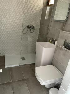 a bathroom with a toilet and a shower and a sink at Family Vila Oravita in Oraviţa