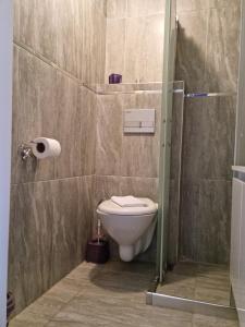 y baño con aseo y ducha. en Usta x Çırak Butik Otel en İzmir