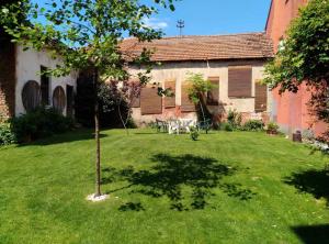 a garden with a table and a tree in the yard at Apartmani Jelenković in Negotin