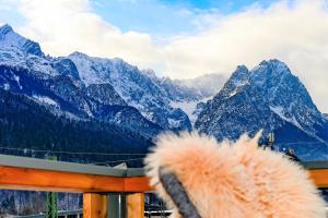a view of a snow covered mountain range from a bridge at moun10 urlaubswohnen in Garmisch-Partenkirchen