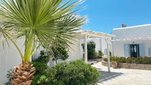 Zahrada ubytování BLUE DAISY House, Ornos, by MyconBay Mykonos