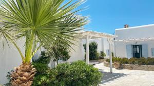 a palm tree in front of a white building at BLUE DAISY House, Ornos, by MyconBay Mykonos in Ornos