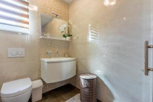 a bathroom with a toilet and a sink at Family Heritage in Crikvenica +32 photos