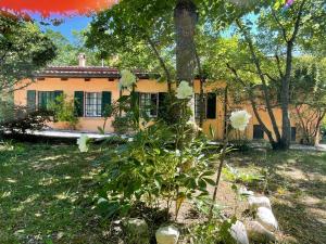 a house with a tree in front of it at Casina Morgana B&B in Novafeltria
