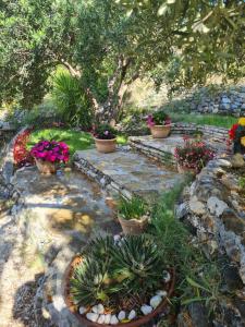 Fotografie z fotogalerie ubytování Apartman Dalmatia v destinaci Duće + 23 fotografií