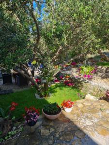 Fotografie z fotogalerie ubytování Apartman Dalmatia v destinaci Duće