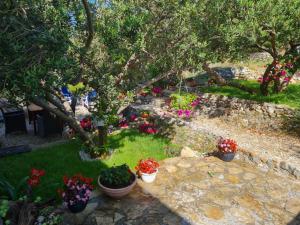 een tuin met potplanten en bomen en bloemen bij Apartman Dalmatia in Duće