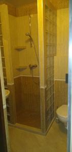 Wynajem Pokoi Osada في فواديسوافوفو: دش في حمام مع مرحاض +26 صورة