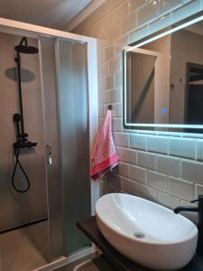 Een badkamer bij Apartman Dalmatia