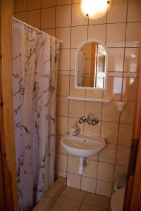 a bathroom with a sink and a mirror and a shower at Anna Maria II in Jastrzębia Góra