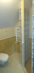 Wynajem Pokoi Osada في فواديسوافوفو: حمام مزود بمرحاض ودش زجاجي