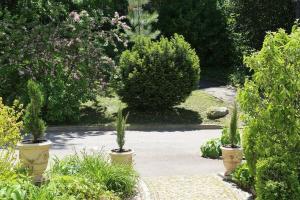 Fotografie z fotogalerie ubytování Villa Hedwig v destinaci Badenweiler