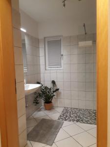 a bathroom with a sink and a potted plant at Apartement am Waldrand in Bad Wildbad