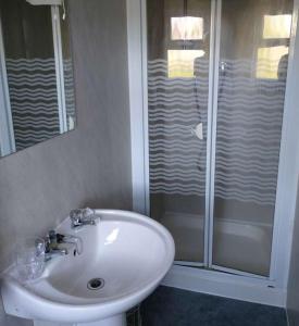 La salle de bains est pourvue d'un lavabo blanc et d'une douche. dans l'établissement Castle Lodge Kilkenny, à Kilkenny