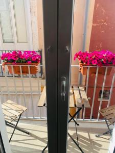 due vasi di fiori rosa su un balcone di Trase & isse Holiday Home a Bari