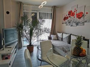un soggiorno con divano e TV di PALMandre (Pag Apartment Luxurious) a Mandre