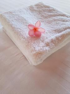 Juma cottages客房内的一张或多张床位
