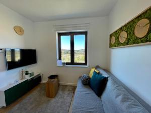 Μια τηλεόραση ή/και κέντρο ψυχαγωγίας στο Apartmani Ribnica Tornik