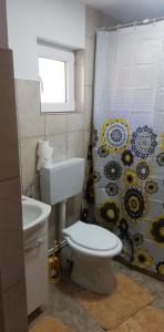 a bathroom with a toilet and a shower curtain at Pensiune Piatra Mare in Nehoiu +24 photos