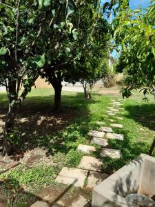 A garden outside SOFIA'S HOUSE