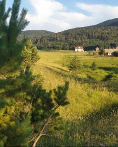 ズラティボールにあるApartmani Ribnica Tornikの遠方の家がある草原