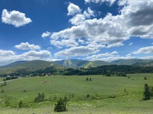Φυσικό τοπίο κοντά σε αυτό το διαμέρισμα