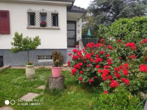 dom z czerwonymi kwiatami w ogrodzie w obiekcie Colmar chambre privée chez l'habitant , près de l'hôpital Pasteur et gare w mieście Colmar