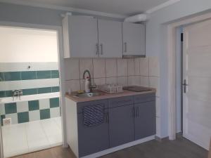 A kitchen or kitchenette at ALFA Szálláshely