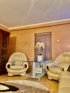 sala de estar con 2 sillas y mesa de cristal en Domeniul Horj Apartament De Lux Moisei en Moisei