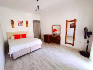 1 dormitorio con cama y espejo grande en Likya SUP Apart, en Kas