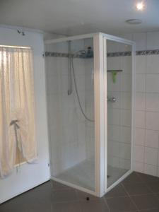 a shower with a glass door in a bathroom at Ferienwohnung Zum grünen Holz in Bohlenberge +60 photos