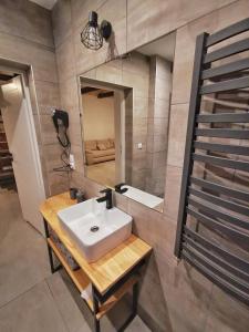 a bathroom with a sink and a mirror at Stawiska nad tanwia in Jędrzejówka