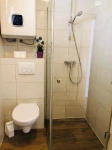a bathroom with a toilet and a shower at Lavanda Centar Vir in Vir +46 photos