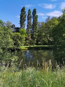 un estanque en medio de un parque con árboles en Gites les écuries Saserang, en Mouilleron