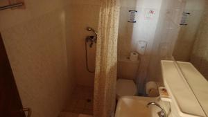 a small bathroom with a shower and a toilet at Akrotainaritis Rooms in Gerolimenas