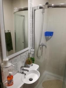 y baño con lavabo, espejo y ducha. en Appart Haut Standing à Tunis, en El Aouina