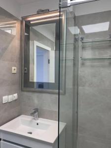 a bathroom with a sink and a glass shower at Apartment in Drasnice with sea view, terrace, air conditioning, WiFi 4992-5 in Drasnice +34 photos