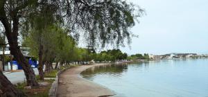 a tree lined path next to a river with trees at ΠΟΛΥΤΕΛΕΣ ΔΙΑΜΕΡΙΣΜΑ ΣΤΗΝ ΑΥΛΙΔΑ ΕΥΒΟΙΑ in Paralía Avlídhos