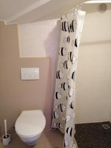 La salle de bains est pourvue de toilettes et d'un rideau de douche. dans l'établissement Studio apartment in Funtana with balcony, air conditioning, WiFi, washing machine 4982-2, à Funtana
