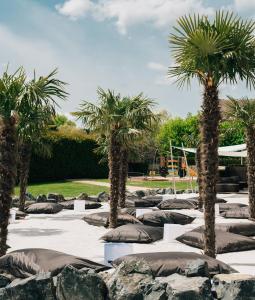 a row of palm trees with pillows and rocks at Belenus Thermalhotel superior in Zalakaros
