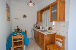 Kuchyň nebo kuchyňský kout v ubytování Spiros and Polyxeni Apartments Afionas