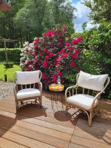 2 sillas y una mesa en una terraza con rosas en B&B Onderderietenkap, en Heerde
