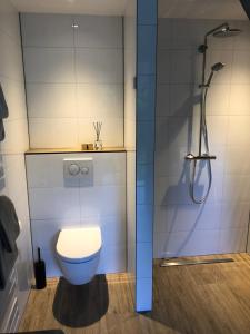 ein Bad mit einem WC und einer Dusche in der Unterkunft B&B Onderderietenkap in Heerde