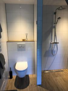 a bathroom with a toilet and a shower at B&B Onderderietenkap in Heerde